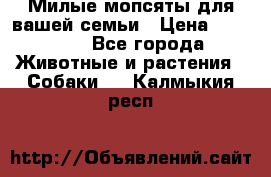 Милые мопсяты для вашей семьи › Цена ­ 20 000 - Все города Животные и растения » Собаки   . Калмыкия респ.